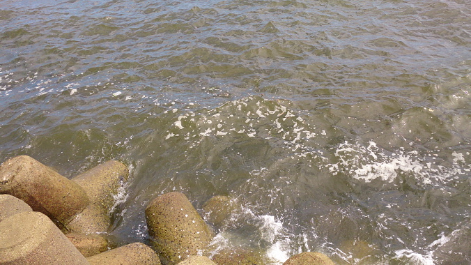 20150719M-1.jpg