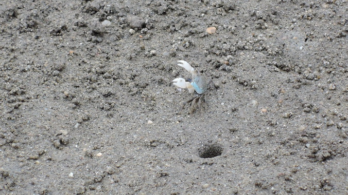 20160528M-2.jpg