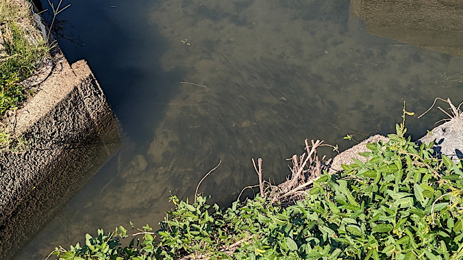 20221016N-2.jpg