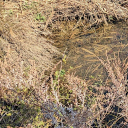 20250301N-1.jpg
