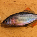 20250314N-1.jpg