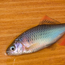 20250405N-1.jpg