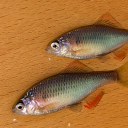 20250426N-1.jpg