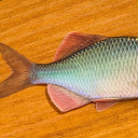 20250828N-1.jpg