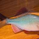 20251002N-1.jpg